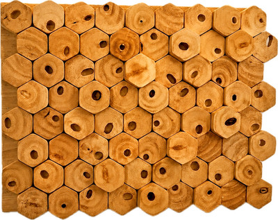 Hexagon  Acoustic 3D Panel Diffuser/Absorber ''Signature'' 76x58cm