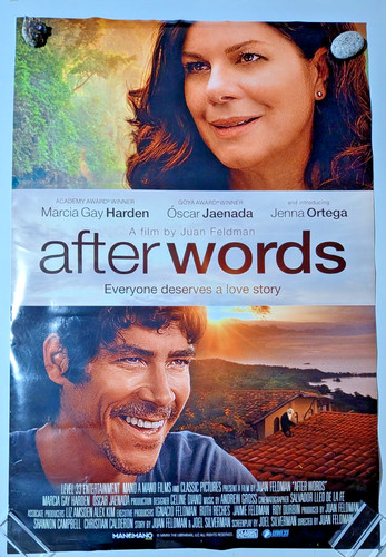 After words 2015 - romance movie poster Original DS One sheet 27x40 One Sided