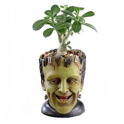 Funny Head Planter Succulent Pot with Drainage Resin Desk Storage Gift Idea