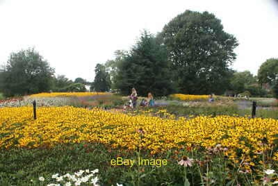 Photo 12x8 View of flowers near the Orangery Cafe from the lawn by Kew Pal c2016