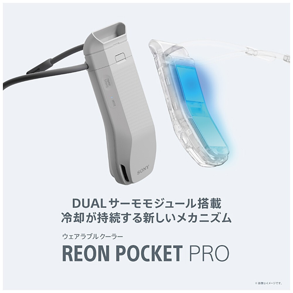 Sony Reon Pocket Pro Sensing kit RNPK-P1T-H 2025 | eBay