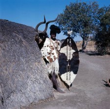 Zulu man presenting his shield in South Africa Africa OLD PHOTO