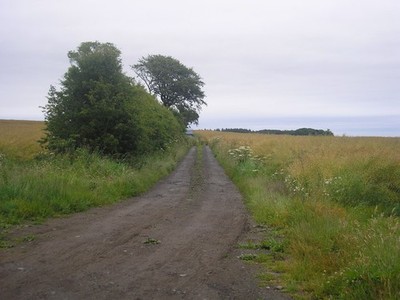 Foto 12x8 Farmgleis Pittenweem A Farmgleis führt vom Hauptantrieb T C2017