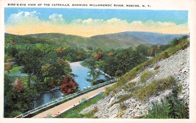 Rosco NY Beaver Kill River Willowemoc Creek Catskill Mountains Vtg Postcard E57