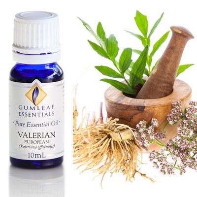 Gumleaf Essentials - Valerian European - Essential Oil - 10 mL