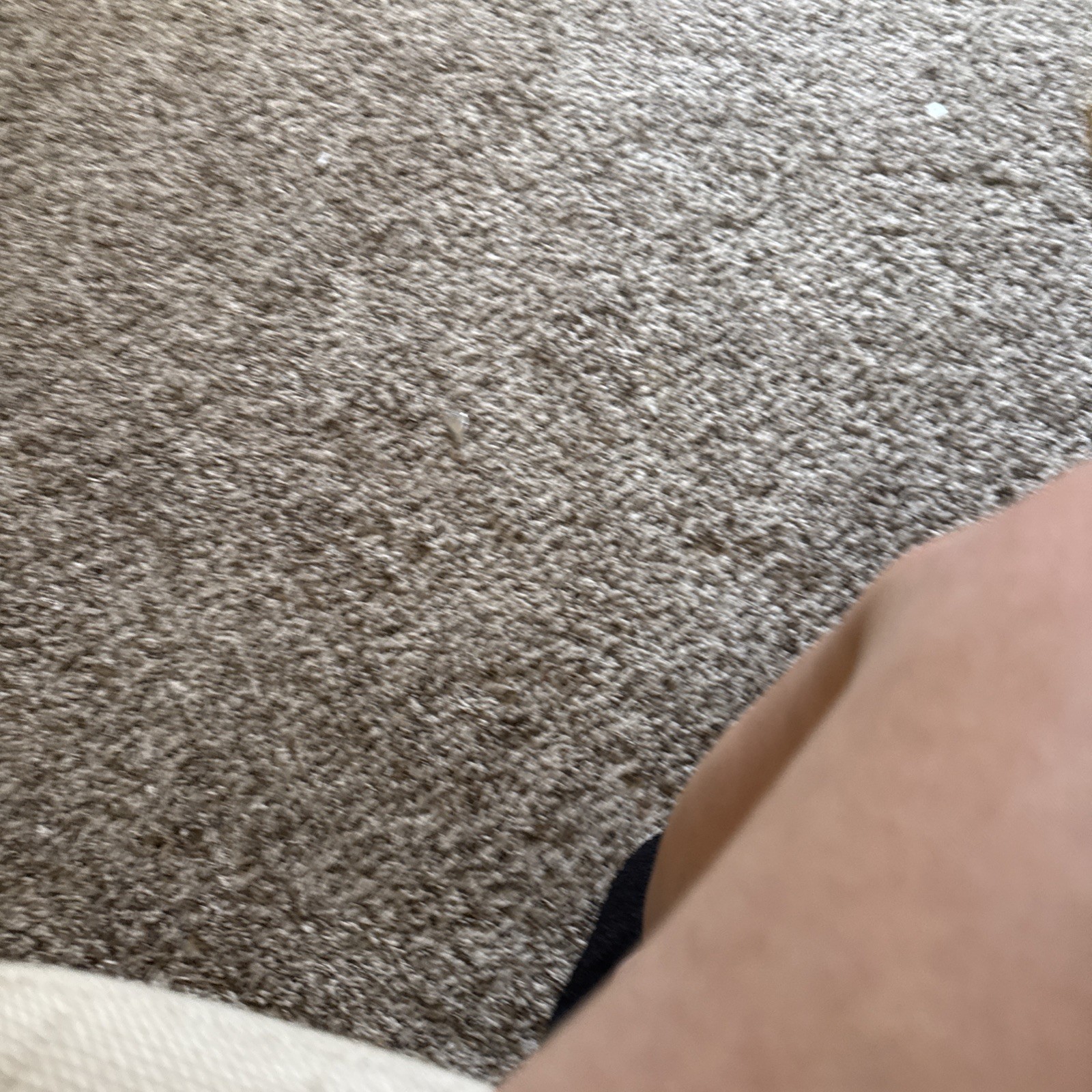 New Converse All Star Chuck Taylor  Hi High Top Sneakers Purple 2 tone Y4 thumbnail 6