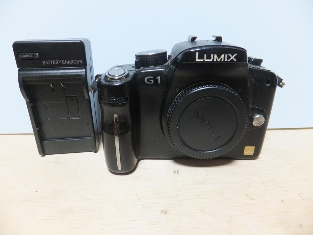 Lumix DNC-G1 Mirrorless Camera from Japan Beautiful !