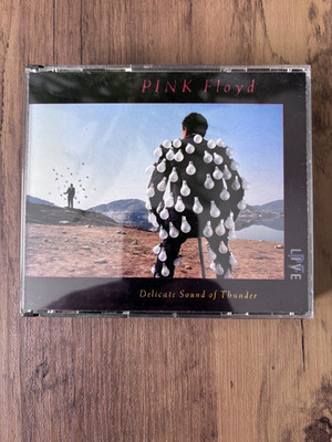 Delicate Sound of Thunder - Pink Floyd  2 x CD Pre Owned Good Cond