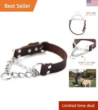 Martingale Dog Collar - No Pull Design - Stainless Steel Chain - Limited Cinc...