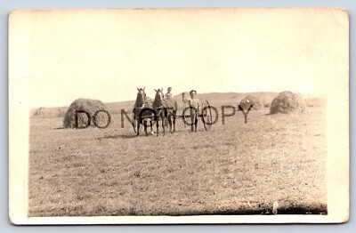 Postcard RPPC Farmers Raking Horse Drawn Pitchfork Bales Hay Occupational I2