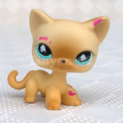 2'' Messiest Cream & Tan Cat Girl toys Kids Toys  Littlest Pet Shop LPS #816
