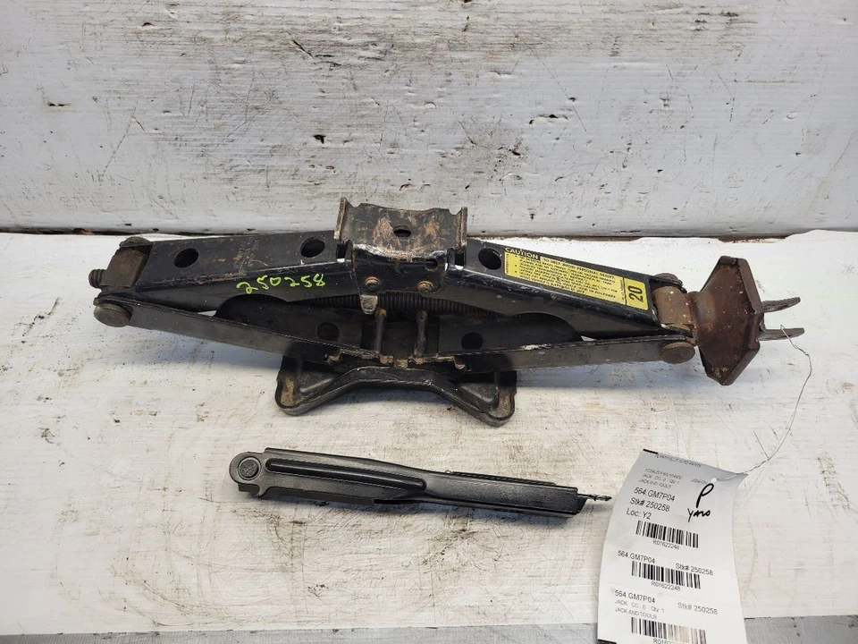 Gato y mango ION 2004 1622248 Foto 4 de 4