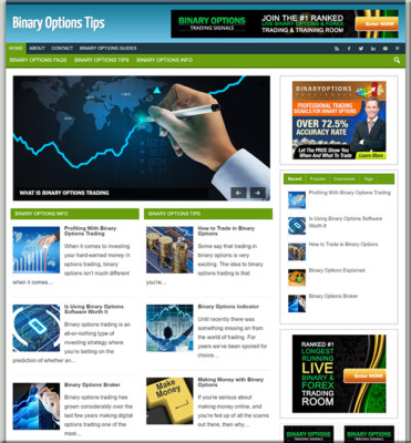 Binary Options Ready Made Blog Turnkey Niche Website Business