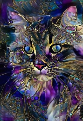 Diamond Painting Bild bunte Katze inkl. Steine 50x70cm ,mit  173 Farben