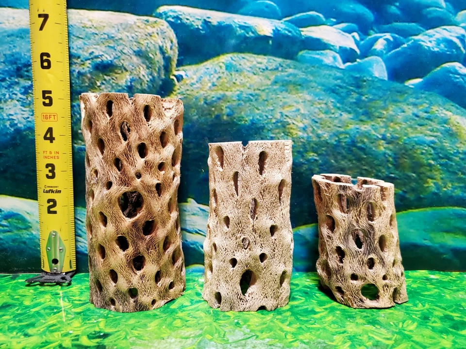3 pcs strong TEDDY BEAR CHOLLA Wood | Air Plant | Aquarium Terrarium Cave Tunnel - Image 2 of 4
