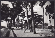 ASCOLI PICENO FERMO 15 Cartolina FOTOGRAFICA viaggiata 1953 Ediz. ALTEROCCA