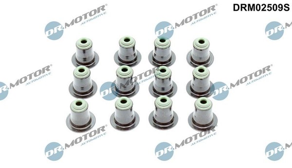 Dr.Motor Automotive DRM02509S Dichtungssatz, Ventilschaft FüR BMW Mini Morgan-image