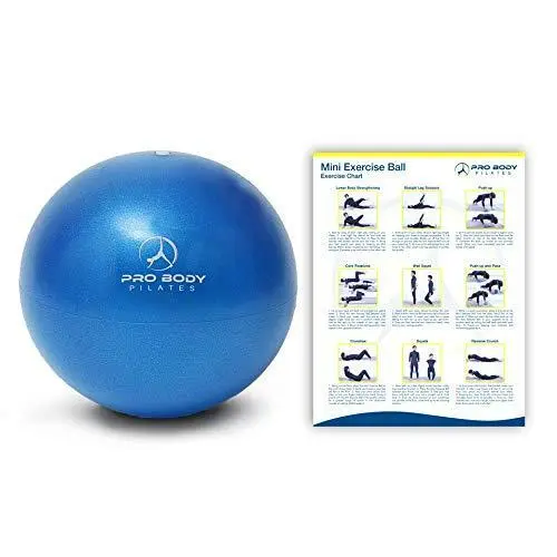 9 Inch Small Exercise Ball for Stability, Barre, Pilates, Yoga, and Balance  (with Pump)
