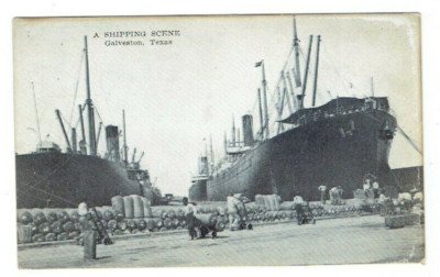 A Shipping Scene Galveston Texas TX Loading Cotton Ship Postcard Dock Wharf