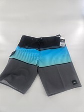 O  Neill Board Shorts Mens Size 30 Lennox Stripe 21 Surf Trunks Swim Stretch NWT