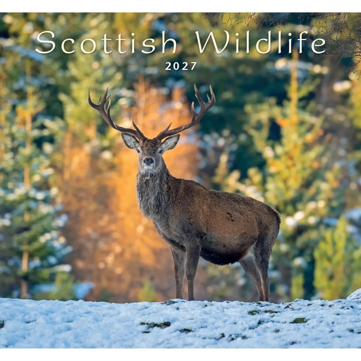 Colin Baxter, Scottish Wildlife Calendar 2027, Wall Calendars, Gift