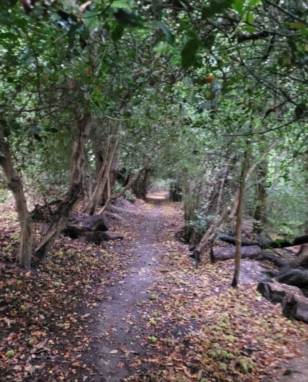 Land For Sale Kent Selling Fast Cheap Plots eBay