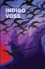 Indigo Voss K Leigh Paperback