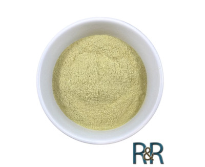 American Skullcap Scullcap Ultra Fine Powder Ship USA