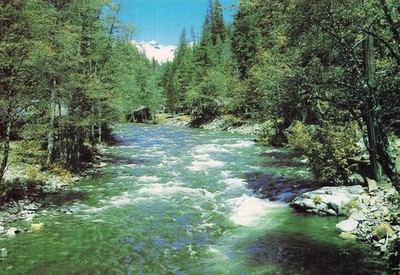 Trinity River Trinity Alps Kalifornien Vintage Postkarte Eastman's Studio