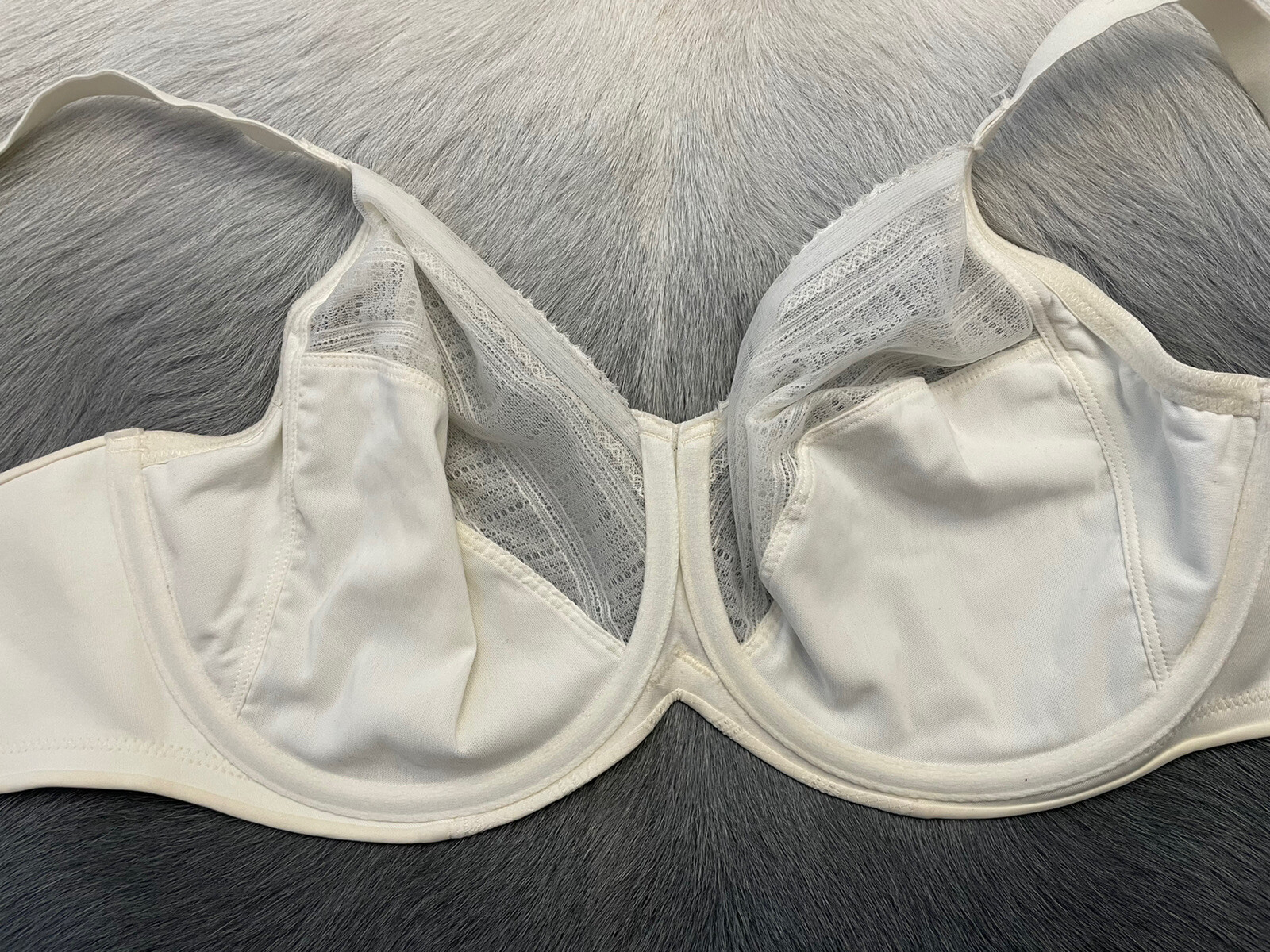 Lilyette Enchantment 3 Section Mesh Underwire Minimizer Bra 34G Ivory