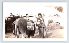 Vintage Photo C.R. Montgomery Circus 1940s Clowns Horse Market Ad 3.5" x 5.75"