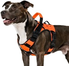 Orange Tactical Dog Harness for Medium Dogs, Heavy Duty No Pull Dog Harness