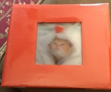 New - 10x 9 Red Scrapbook/ Album w/Pages  Protectors