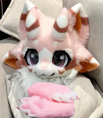 Fursuit Long Fur Husky Fox Mascot Head Party Halloween Fur Cosplay-Promotion