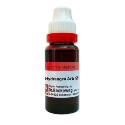 Dr Reckeweg Germany Hydrangea Arb Mother Tincture Q 20ml - Enlarged Prostate 