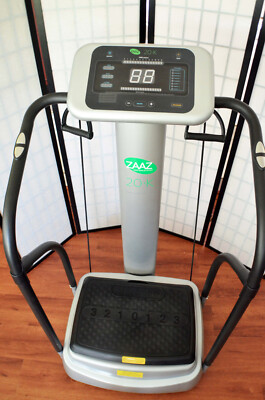 ZAAZ 20K Exercise Whole Body Vibration Machine | eBay