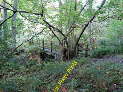 Photo 6x4 Footbridge over Glen Cune Burn Park Village/NY6861  c2015