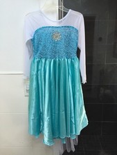 Elsa Costume Dress