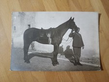 CARTOLINA POSTALE SCRITTA DA AVIANO PORDENONE - CAVALLO "FEBO" 1915