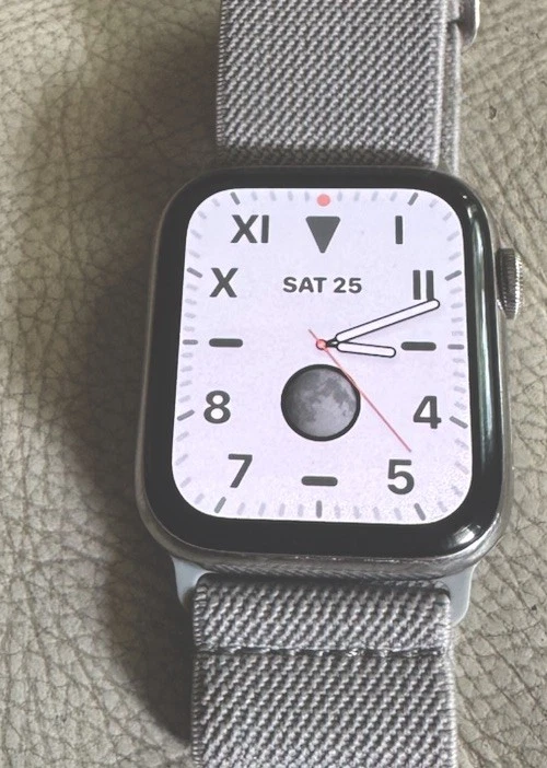 Apple Watch Series 4 Stainless Steel for Sale - eBay