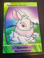 Neopets Species card 9 CYBUNNY Paint Brush Striped