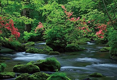 Yanoman [Hergestellt in Japan] 108-teiliges Puzzle Große Teile Japanische Lan...