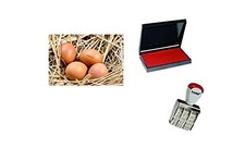 Egg Dater Kit, 3mm Rubber Date Stamp, Red Egg Safe Ink Pad, Farm, Homestead