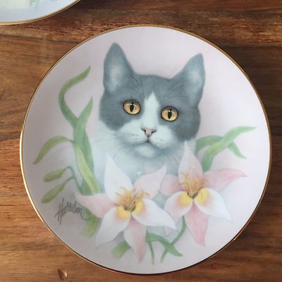 Katzendeko Teller mit rosa Lilien - Bob Harrison Petals & Purrs Katzenteller Serie