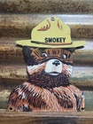 VINTAGE SMOKEY BEAR PORCELAIN SIGN OLD US FOREST SERVICE NATIONAL PARK FIRE