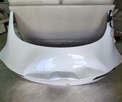 2021 TESLA MODEL 3 COMPLETE  TAILGATE  ELETRIC LIFT FOR PARTS OR BODY WORK 