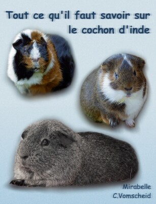 Tout Ce Qu'il Faut Savoir Sur Le Cochon D'inde (Nouvelle ?Dition): Nouvelle...