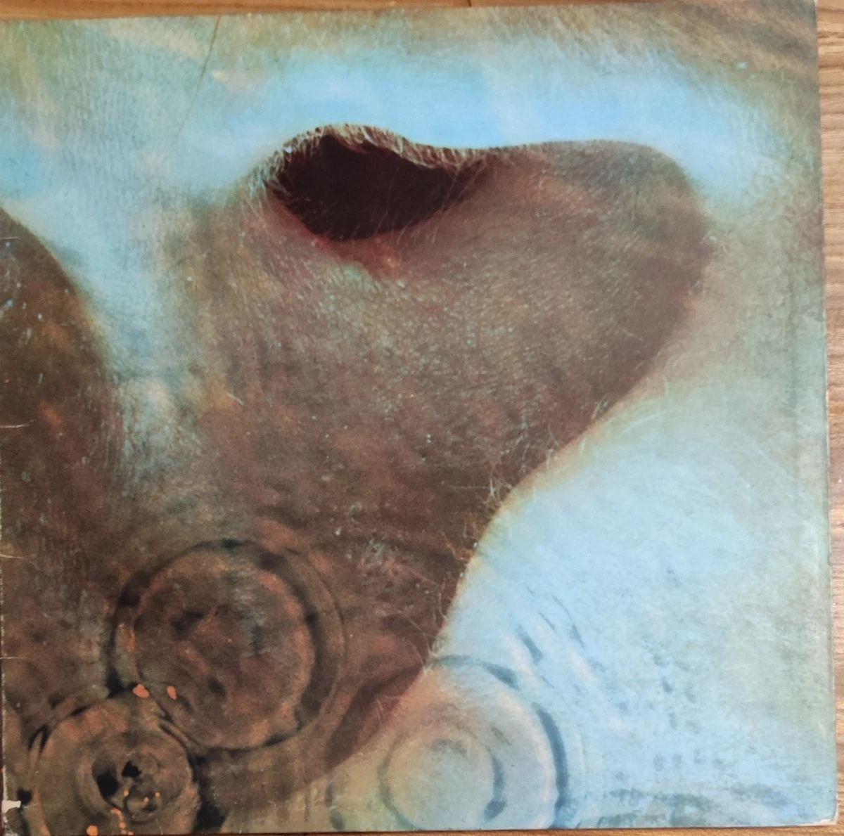 英LP Pink Floyd Meddle UKオリジ ステレオ ピンクフロイド Pink Floyd Meddle Uk Lp for sale | eBay