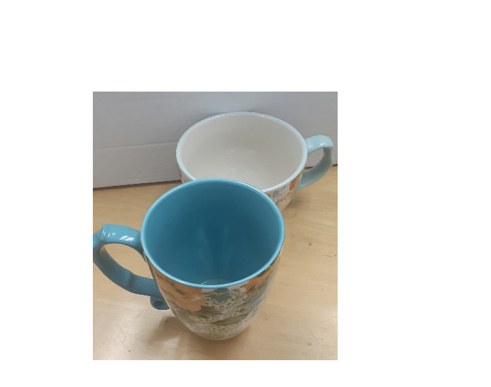 2 Pioneer Woman Collection Willow Soup Bowl/Large Coffee 27oz And 24oz Mug