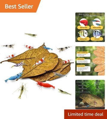 Natural Raw Catappa Leaves for Shrimps - 10 Pcs (4-7 ) for Health and Vitality